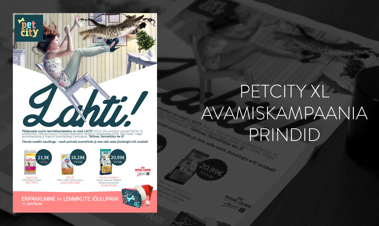 petcitylahti-print-main