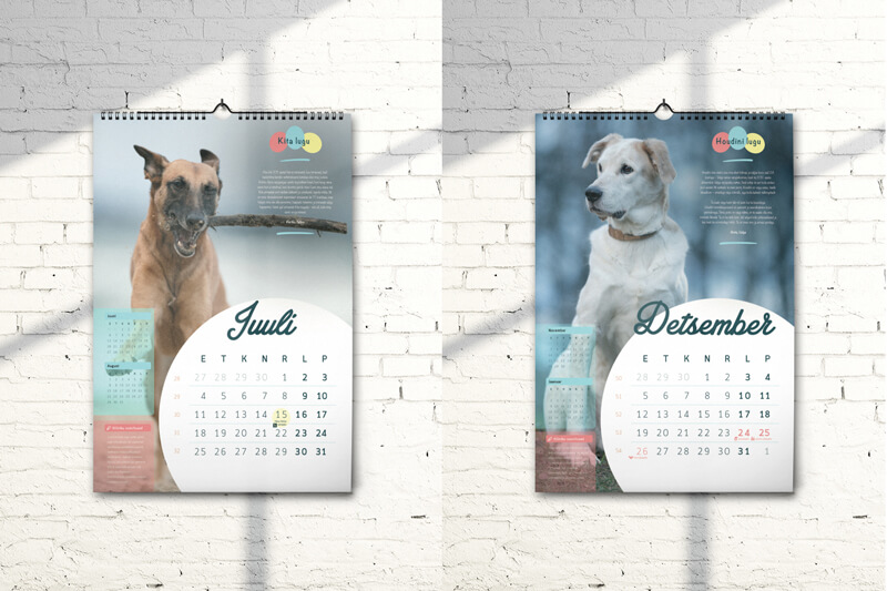 petcity-kalender-2dbl